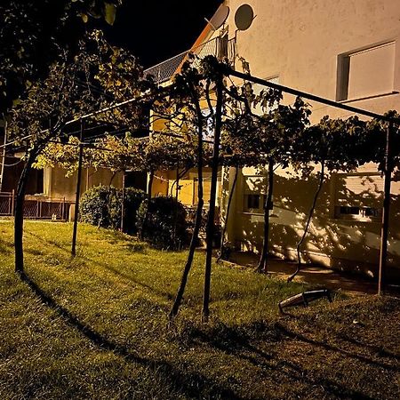 Entire 1-Bedroom Apartment With Free Parking Podgorica Exteriör bild