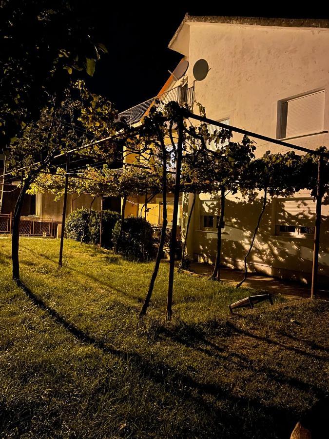 Entire 1-Bedroom Apartment With Free Parking Podgorica Exteriör bild